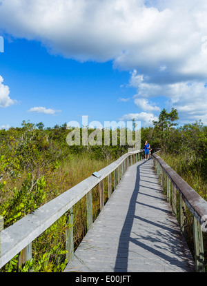 Couple on the Bobcat Boardwalk near the Shark Valley Visitor Center, Everglades National Park, Florida, USA Stock Photo