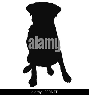 A silhouette of a sitting Labrador Retriever which could also be a generic short haired dog Stock Photo