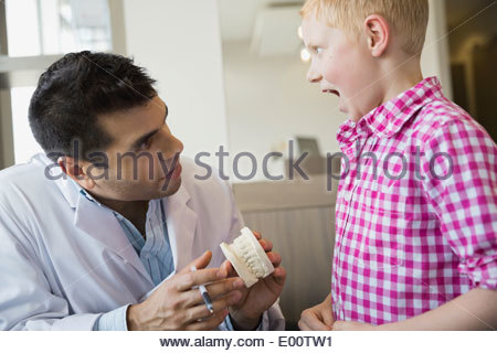 Dentist with tooth model looking into boys mouth