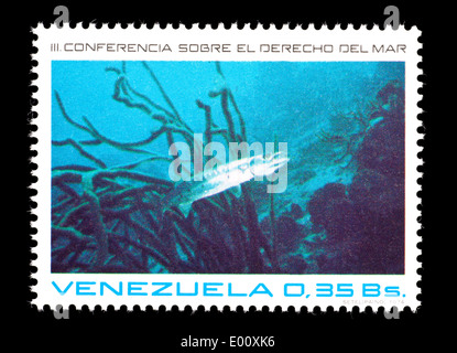 Postage stamp from Venezuela depicting a deep sea fish. Stock Photo