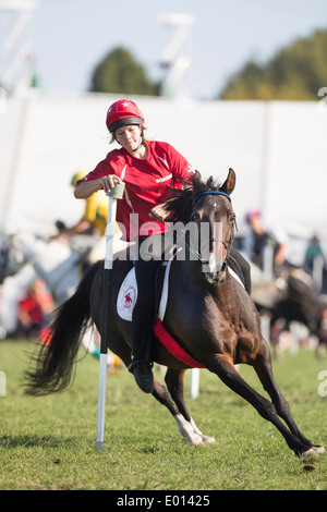 Rider competing in the Mounted Games at Hastings, New Zealand Stock Photo