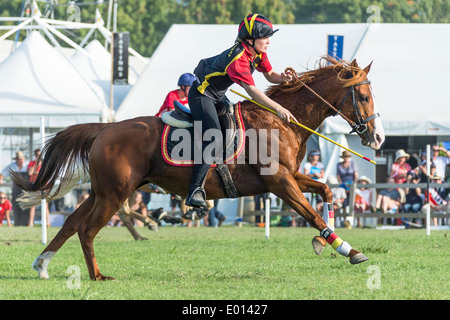 Rider competing in the Mounted Games at Hastings, New Zealand Stock Photo