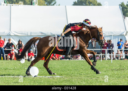 Rider competing in the Mounted Games at Hastings, New Zealand Stock Photo