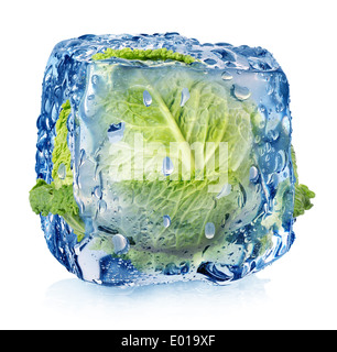 Ice cube with brussel sprouts isolated on white Stock Photo