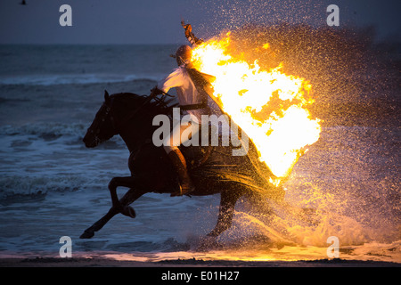Pure Spanish Horse, Andalusian. Stunt-man with burning cloak galloping on a beach. Romania Stock Photo