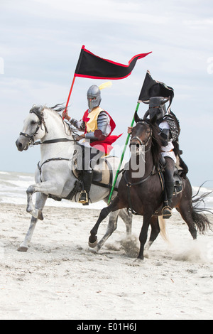Pure Spanish Horse, Andalusian. Stunt-men dressed as knights galloping on a beach. Romania Stock Photo