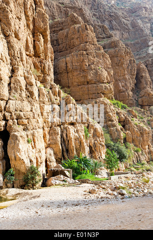 Image of Wadi Shab in Oman with rocks and palms Stock Photo