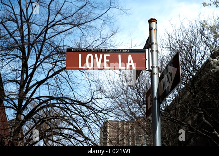 View of a street sign for Love Lane in Brooklyn, New York City. Stock Photo