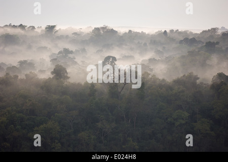 Mist over the Mata Atlantica rain forest in the morning. Stock Photo