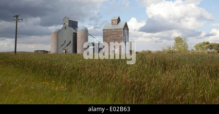 Old Weathered Concrete Grain Elevator with Worn Red Doors Stock