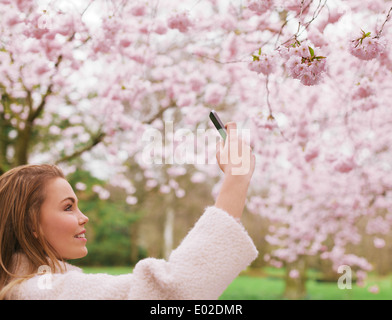 Attractive young woman taking pictures of pink blossom flowers at a spring blossom park. Beautiful Caucasian female shooting.