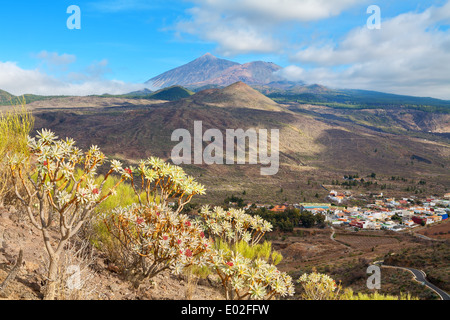 Landscape of Tenerife. Spain Stock Photo