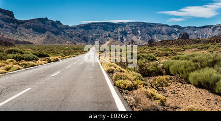Road through volcanic landscape, plateau Llano de Ucanca with shrubs, Parque Nacional de las Cañadas del Teide Stock Photo