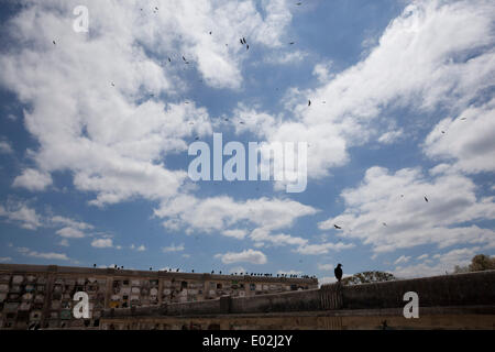 Guatemala City, Guatemala. 15th Mar, 2013. Vultures sit on wall tombs in Cementerio General. © Alena Kuzub/ZUMA Wire/ZUMAPRESS.com/Alamy Live News Stock Photo