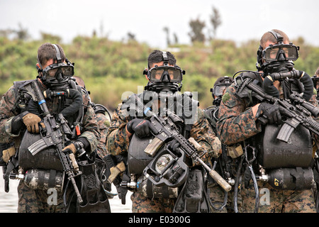 US Marines emerge from the water during combatant diver and beach reconnaissance training at Camp Hansen April 24, 2014 in Okinawa, Japan. Stock Photo