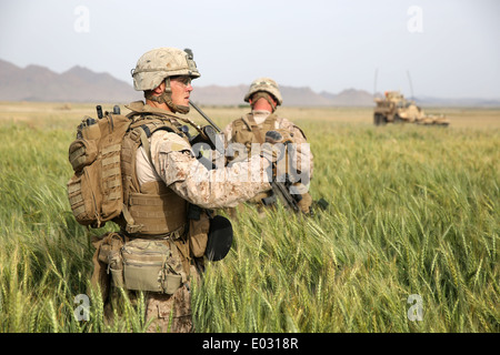 US Marine Sergeant Sloan Seiler signals his squad while crossing a field outside a village during a clearing operation mission April 25, 2014 in Larr Village, Helmand province, Afghanistan. Stock Photo