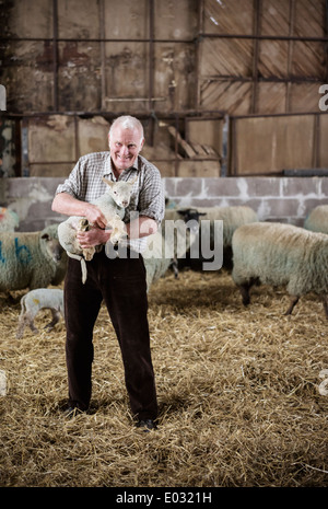 A man holding a young lamb. Stock Photo