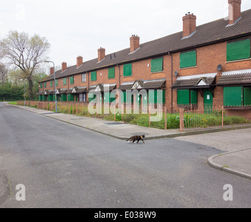 Street of boarded up council houses, Port Clarence near Middlesbrough, England, UK Stock Photo