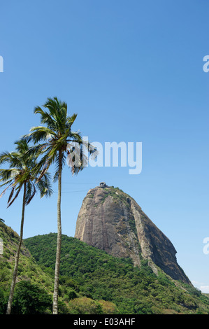 Sugarloaf Pao de Acucar Mountain standing in clear blue sky with palm trees Rio de Janeiro Brazil Stock Photo