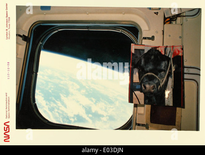 This glossy photo from NASA showcases the view of Earth from space ...