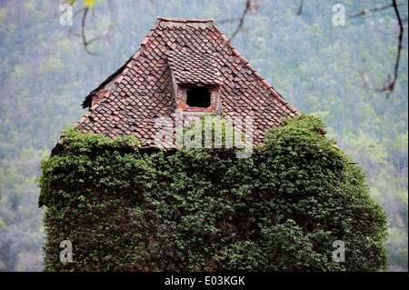 Abandoned old tower house with overgrown ivy Stock Photo