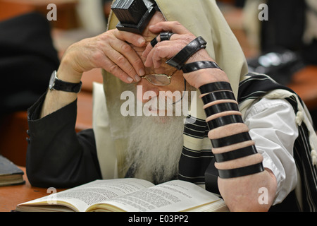 Religious Jewish man at studying at a synagogue in the Crown Heights section of Brooklyn, New York Stock Photo