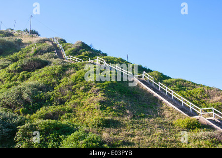long wooden stairway to top of steep dune on sea shore Stock Photo