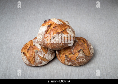 Farmhouse loaves. For the connoisseur consumer of bread, nothing is better than a master baker's bread.  Pains de campagne. Stock Photo