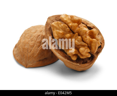Open Walnut Isolated on White Background. Stock Photo