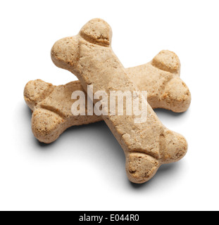 Two blank dog bones stacked criss cross with copy space isolated on a white background. Stock Photo
