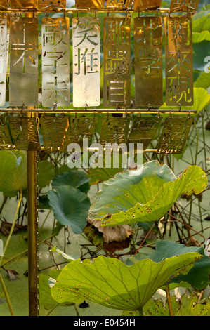 MoCA, the Shanghai Museum of Contemporary Art. Stock Photo