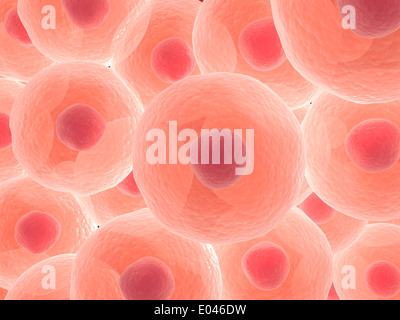 Microscopic view of animal cell. Stock Photo