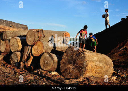 Wood transport - Port of Punchana in IQUITOS . Department of Loreto .PERU Stock Photo