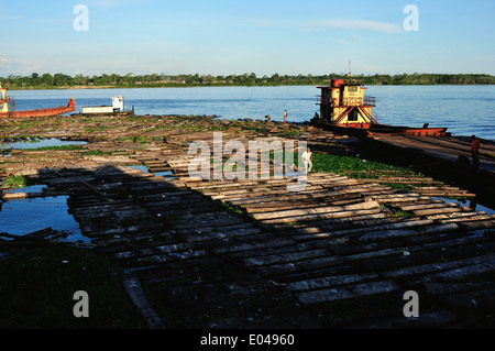 Floating logs - Port of Punchana in IQUITOS . Department of Loreto .PERU Stock Photo