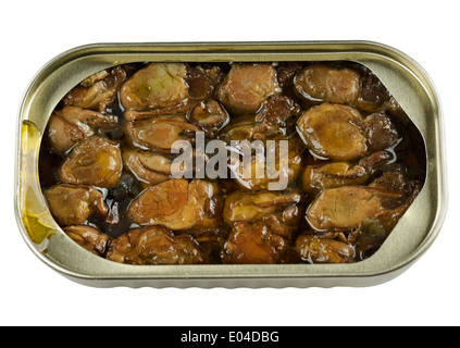 Canned Smoked Oysters Isolated On White Background Stock Photo