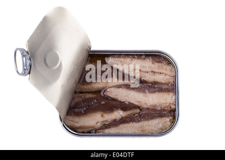 Macro shot of Mackerel Fillets in a tin Stock Photo