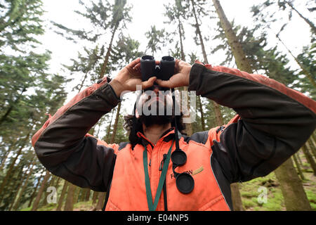 Ruhestein, Germany. 14th Apr, 2014. Forest manager Thomas Gamio of the Nordschwarzwald national park (North Black Forest National Park), is on the lookout for trees infested with bark beetles using his binoculars at the national park near Ruhestein, Germany, 14 April 2014. Equipped with binoculars and GPS gear, a team of 12 staff have been mapping the areas of the forest infested with bark beetles, since 1 April 2014. Photo: Uli Deck/dpa/Alamy Live News Stock Photo