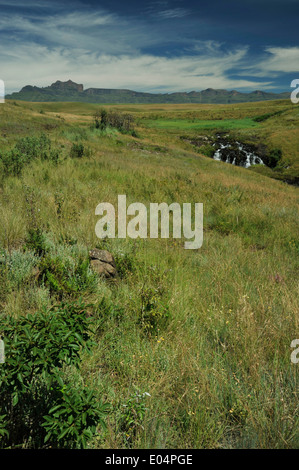 View of Giants Castle peaks from Highmoor nature reserve in Drakensberg uKhahlamba mountains, KwaZulu-Natal, South Africa, landscape, park Stock Photo