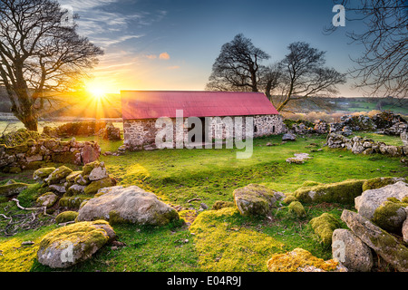 Old barn with a red tin roof at Emsworthy on Dartmoor National Park in Devon Stock Photo