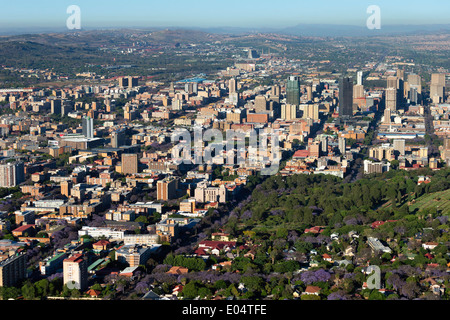 Aerial view of Pretoria's cental business district and the iconic Jacaranda trees in full bloom.Pretoria.South Africa Stock Photo