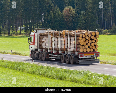 Transport of of wooden drink in a truck on the street, Transport von Holzstaemmen auf einem Lastwagen auf der Strasse