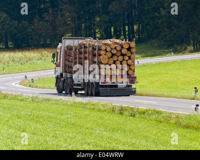 Transport of of wooden drink in a truck on the street, Transport von Holzstaemmen auf einem Lastwagen auf der Strasse