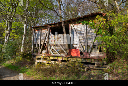 A rickety derelict wooden shack in the woods Stock Photo