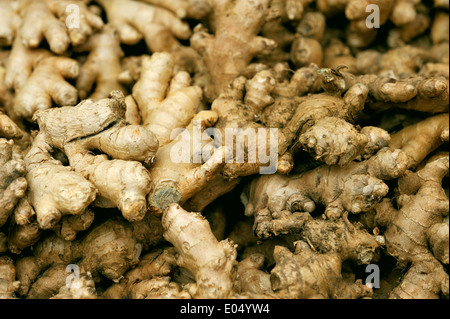 FRESH GINGER ROOT FOR SALE IN A MARKET Stock Photo