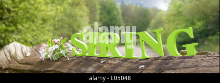 Spring letters on log in country lane with apple blossom Stock Photo