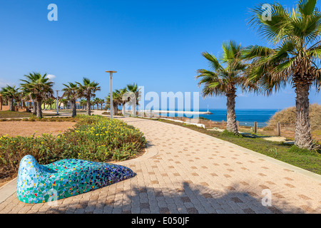 Paved promenade with palms and plants along shoreline of Mediterranean sea in Israel. Stock Photo