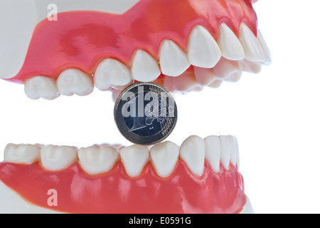 A dental model with the dentist with euronotes. Costs for health Stock Photo