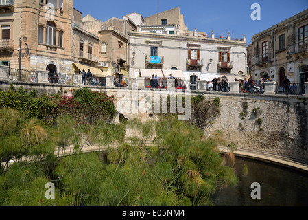 Arethuse fountain, Ortygia, Syracuse, Province of Syracuse, Sicily, Italy Stock Photo