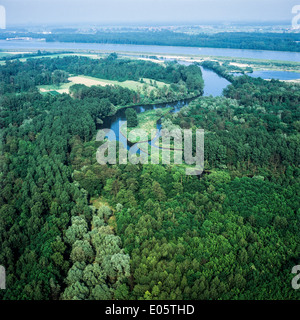 Aerial view of alluvial forest and Rhine river in the distance Alsace France Europe Stock Photo