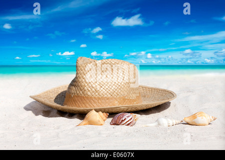 Straw Hat and Seashells on the Beach with much Copy Space Stock Photo